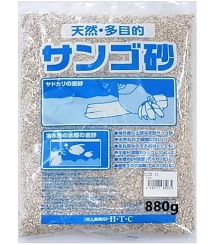 Amazon | パラオ産 サンゴ砂 パラワンサンド 【Lサイズ 100g