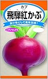 <飛騨紅かぶ> 甘味に富み風味格別な岐阜県の伝統名産かぶ