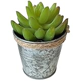フェイクプランツ 多肉植物 バケツC DECOR IMITATION BLIKI Lフェイクプランツ 多肉植物 バケツB DECOR IMITATION BLIKI L