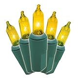 Brite Star 150 Count 8-Function Chasing Light Set with Green Wire, Gold by Brite Star