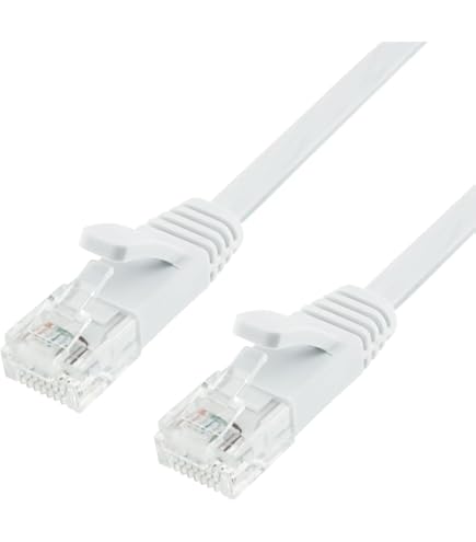 Amazon.co.jp: サンワサプライ エンハンスドカテゴリ5超フラット