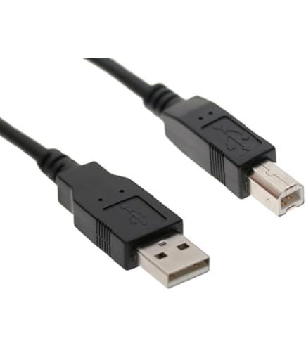 Amazon.co.jp: ienzaロング10フィート Mini-B USBケーブルコード