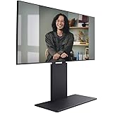 WALL テレビスタンド テレビ台 壁寄せテレビスタンド WALLウォール V2 ロータイプ (2020モデル) 32～60V対応 サテンブラック EQUALS イコールズ
