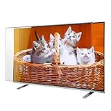 CLIERL 液晶テレビ保護パネル 日本製 有機EL対応 65インチ 65型 非光沢 反射防止 厚み3mm 安全設計 ガード カバー 固定ストッパー付 L-CFX-65