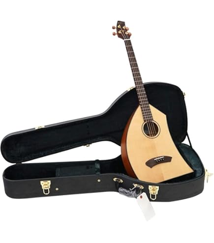 Amazon.co.jp: K.Yairi 奏生 カナイ N 一五一会 (Kヤイリ) : 楽器