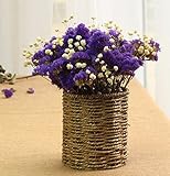 BAGEHUA 乾燥した花のバスケットを合わせて自然乾燥した花の実花星花の装飾装飾ギフトテーブル、 B