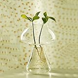 amzmonnsuta キノコの形の水耕植物の花ガラスの花瓶ホームインテリア