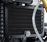 R&G(アールアンドジー) オイルクーラーガード CBR1000RR-R (20-) ブラック RG-OCG0039BK