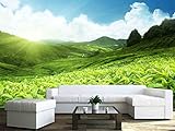 wall26 - 粘着壁紙 大きな壁画シリーズ 100"x144" WMR-WP-X-D411-100x24x6