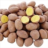 国華園　じゃがいも種芋　インカのめざめP　3kg【※発送が国華園からの場合のみ正規品です】