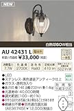 コイズミ照明　アウトドアライト【AU42431L】