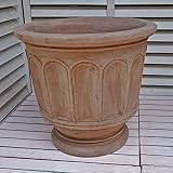 ベトナム鉢 フィリー ショコラ色 (47cm) テラコッタ 植木鉢 プランター アンティーク調 陶器鉢 おしゃれ 園芸 ガーデニング ヨーロピアンガーデン