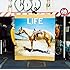 フジファブリック「LIFE(通常盤)」