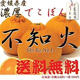 愛媛県産 不知火 「デコポン」5K （家庭用）