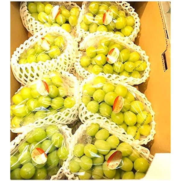 Amazon.co.jp: ワッサー 訳あり 4キロ : 食品・飲料・お酒