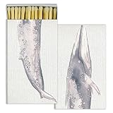 Watercolor Whale Matchボックスセット/ 7
