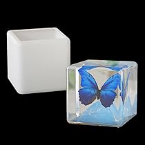 くなりみい出品 立体標本8点 51upFoCqQGL._AC_UL210_SR210,