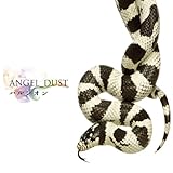 ANGEL_DUST