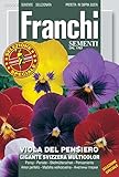 花の種 パンジー gIgANE SVIZZERA MULTICOLOR 355/4