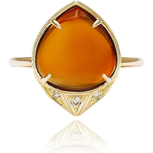 Amazon | 化石 虫入り琥珀 リング 指輪 蜂 カゲロウの羽 15mm四方 13