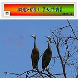 調達の闇　1: 天井裏 (arakahiブックス)