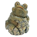 Michael Carr Warts on Rock Mossy Green