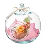 Paseo 茶箱入り プリザーブドフラワー フローリーアップル ピンク 14×14×H17cm S-20PK