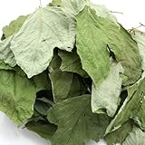 charm(チャーム) 国産 くずの葉 ２０ｇ お徳用パック 小動物のおやつ 無添加 無着色