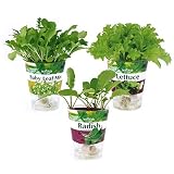 フレッシュベジ:栽培セット/ベビーリーフミックス・ラディッシュ・レタス(底面給水) ノーブランド品