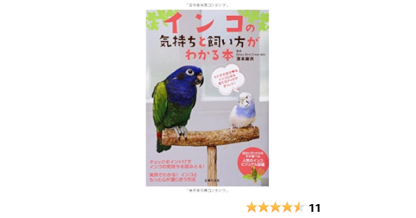 インコの気持ちと飼い方がわかる本 ヒトが大好きなインコになる育て方アイデアぎっしり 濱本 麻衣 本 通販 Amazon