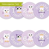 Home-organizer Tech Baby Month Stickers Cartoon Owl Boy Girl 1-12 Monthly Milestone Sticker Best Bir