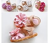 LAZA 可愛い ベビー 女の子 サンダル 靴下 つま先 保護 お花 おしゃれ きれいめ 子供 各サイズ 夏 水泳 海 女児 カラー：ホワイト　ピンク　パプール　バラー (内寸14.5, 　バラー)