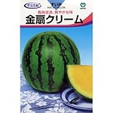スイカ 種 【 金扇クリーム 】 種子 小袋（約1.1ml）