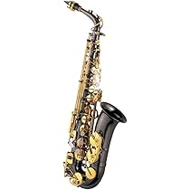 J.Michael　アルトサックス Amazon | J.Michael/AL-900B ジェイマイケル アルトサックス