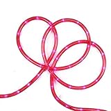 Sienna Pink LED Indoor/Outdoor Christmas Rope Lights 18'【クリスマス】【ツリー】 [並行輸入品]