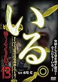 �u����B�v�`�|�����铊�e�f��13�{�`Vol.13