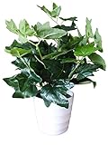 MedianField 観葉植物 造花 鉢 インテリア 雑貨 人工 フェイク グリーン 緑 植物 鉢植え 葉 (アイビー)