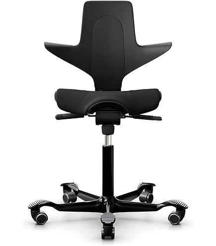 Amazon.co.jp: HAG Capisco シットトゥスタンドチェア シルバー