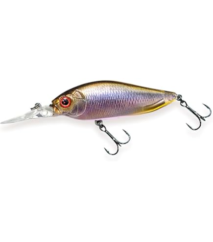 Amazon.co.jp: メガバス(Megabass) FLAP SLAP(SP-C) FA ITOカワムツ