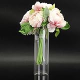 amzmonnsuta 　壁掛け式は水耕植物の花用ガラス製ガラスの花瓶　ホームパーティーの吊下げ式ボトル飾り
