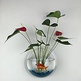 NHsunray インテリア 壁掛け水槽 飾り アクアリウム 観葉植物を入れて ストーン 水草 金魚鉢 や 花瓶 として　癒し 15x15x8cm