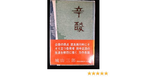 辛酸的意思