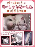 捨て猫双子のりーしゃとるーしぇ成長記録