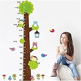 Height Measurement Growth Chart Tree Cute Monkey and Owls Wall Vinly Decal Decor Sticker Removable S