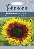 JOFL 英国ジョンソンズシード Johnsons Seeds Sunflower Solar Power F1 サンフラワー・ソーラー・パワー・F1