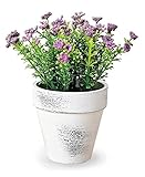 フェイクグリーン [グリーンポット] パープル HMA-0062