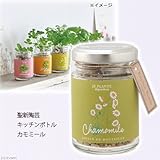 聖新陶芸 キッチンボトル カモミール