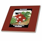 3dRose ct_170717_1 Radish White Tip Scarlet Turnip Root Vegetable Seed Packet-Ceramic Tile, 4-Inch [