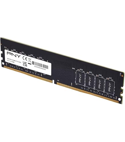 Corsair CMK8GX4M1A2666C16 Vengeance LPX 8GB (1x8GB) DDR4 DRAM