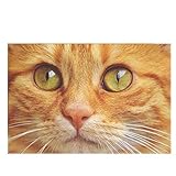 wihveプレースマットWipeableダイニングCat 12 x 18 inch